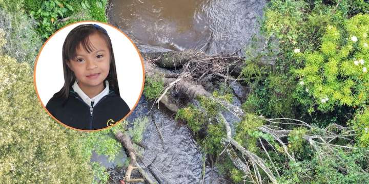 Anuncian recompensa para ubicar a Valeria Afanador, niña desaparecida de Cajicá, Cundinamarca: las hipótesis del caso