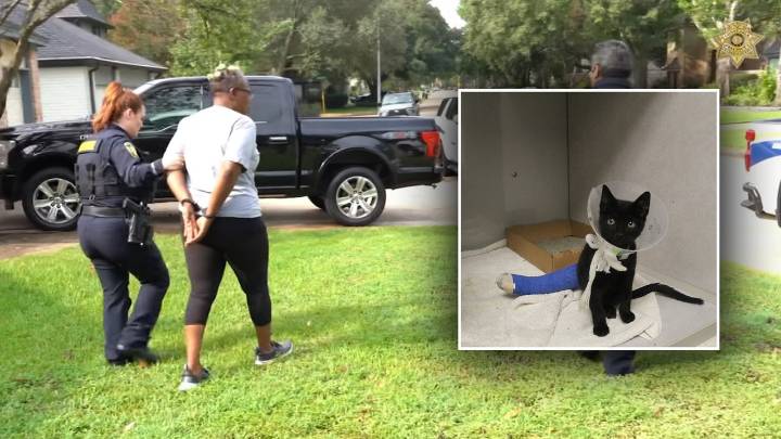 Suspect seen on video running over kitten arrested in Humble