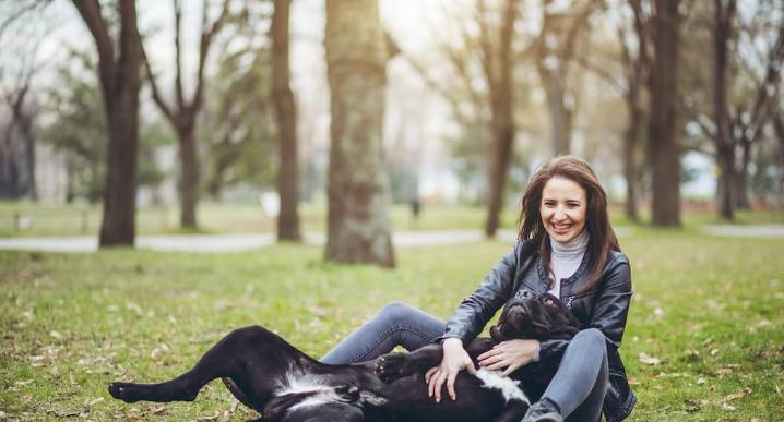 ¿Por qué mi perro se revuelca en el pasto o basura?