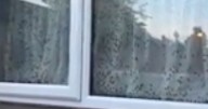 Residents trapped in flats as 'thousands of flies' swarm after neighbour dies
