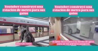 Influencer construye una estación de metro exclusiva para sus gatos y se vuelve viral