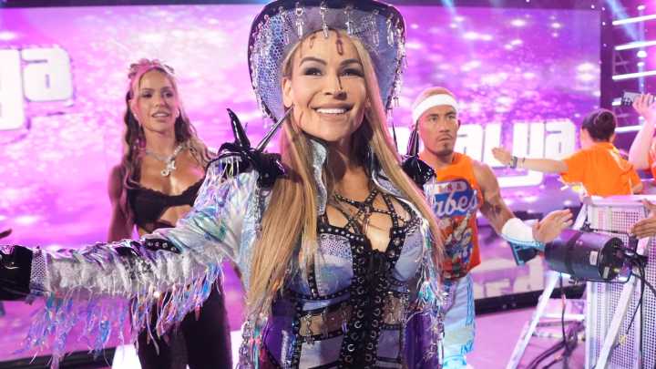 Bully Ray Unpacks WWE's Natalya Vs. Nattie Dichotomy