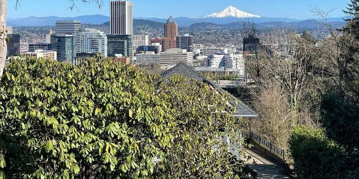 Task force warns Portland must reform taxes to restore public trust