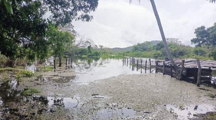 Alarmante crecida del río Orinoco afectó a más de 50 familias en Delta Amacuro