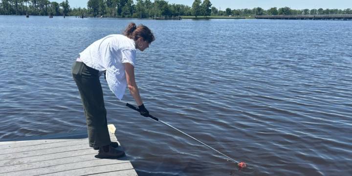 Twenty sites on lower Neuse and Tar-Pamlico fail weekly swim guide