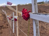 Maui County Reaches Grim Milestone In Fire Victim Identification