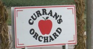 New treats at Curran's Orchard in Rockford keep visitors returning