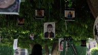 Colocan árbol de memoria por desaparecidos en plaza de Armas de Morelia