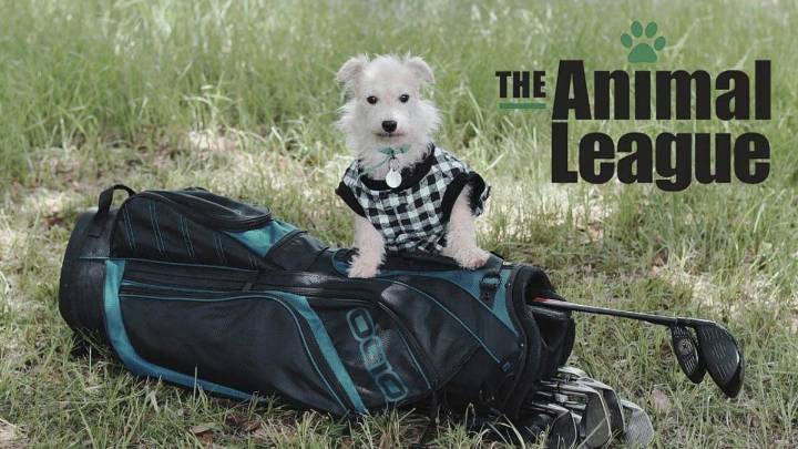 The Animal League Announces 10th Annual Puttin’ Fore Paws Golf Tournament (Sept 27)