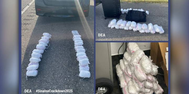 More than 40 pounds of meth seized from cartel members on a Colorado interstate