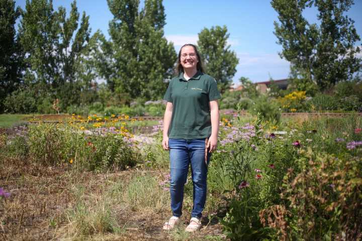 Encouraging pollinators helps vegetable and fruit production