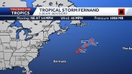 Tracking Fernand
