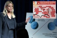 Exclusive | America not ready to combat nitazene synthetic opioids: DEA agent