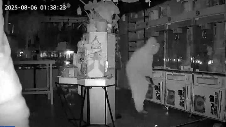 La fiebre por los labubus: un grupo de ladrones roba decenas de estos muñecos virales en Los Ángeles