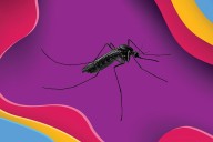 One product managed to give me instant relief from itching mosquito bites. And there's a way to track it down.