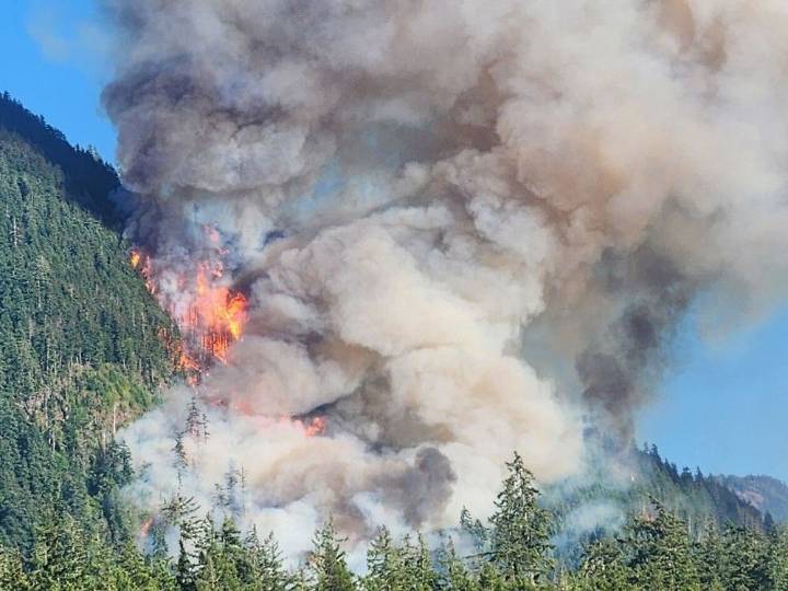B.C. wildfires: Port Alberni fire forces evacuation of campground, marina