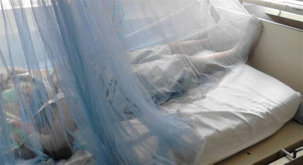 Casos de dengue bajaron 73 por ciento en Guatemala contra 2024