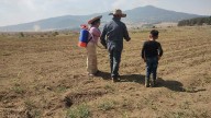 Dispersan semillas con drones en Zamora, Zacapu, Pajacuarán, Paracho y Turicato