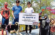 Sanan heridas y corazones de 17 perritos con jornada de adopciones