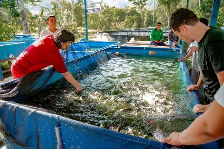 PRODUCE eleva a más de S/ 187 000 el límite de créditos para acuicultores AMYPE