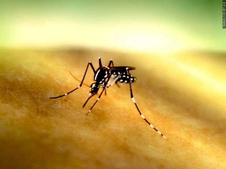 First West Nile death reported for this year by state health leaders