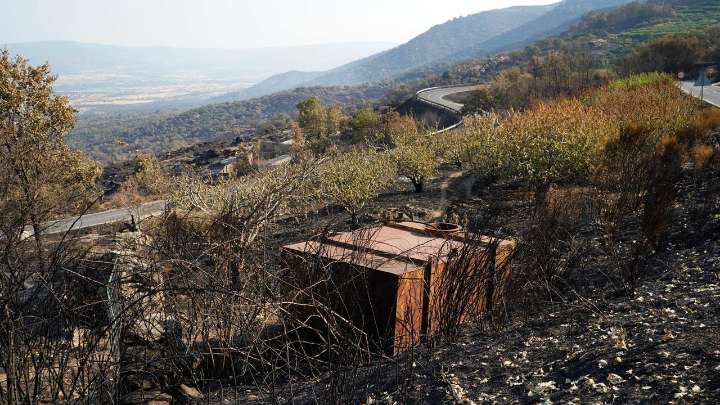 Controlado el incendio de Jarilla, el mayor de la historia de Extremadura, tras arrasar 17.355 hectáreas