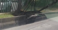 El pedazo de separador que se desprende, peligrosamente, en avenida de Manizales: Alcaldía anuncia 2 acciones