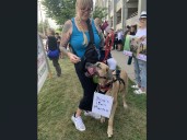 Vigil for dogs killed in research held at St. Joseph's hospital in London