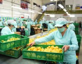 Más de 460.000 empresas en Colombia aún operan con cuentas personales