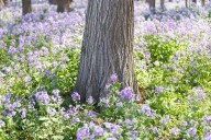 We Asked Gardeners Which Landscaping Trends They Hate