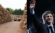 Suspensiones y freno de producción en una histórica maderera