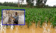 Alrededor de 13 millones de agricultores en todo el mundo verían afectadas sus tierras por subida del nivel del mar