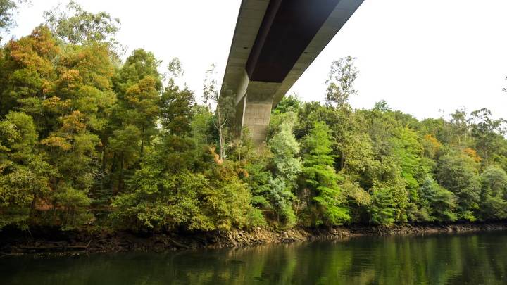 Fallece el joven de 16 años que llevaba diez días en la uci tras lanzarse al agua desde un puente del Lérez