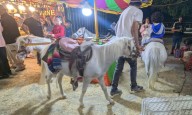 Colectivos llevan a lo legal omisión de carrusel de ponis en la Fenapo
