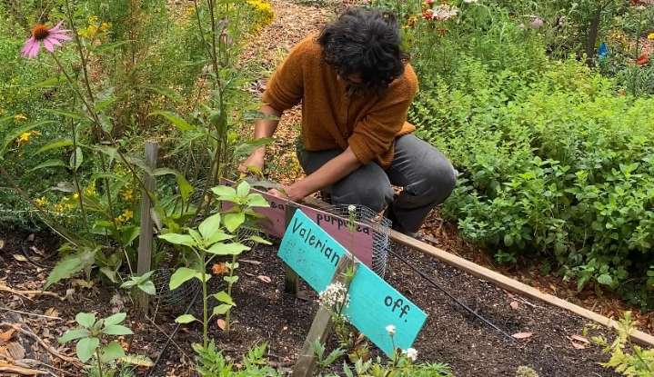 A ‘public medicine chest’ grows by I