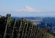 Pete’s Mountain Vineyard & Winery is home to great wine, live music and history: Winery spotlight