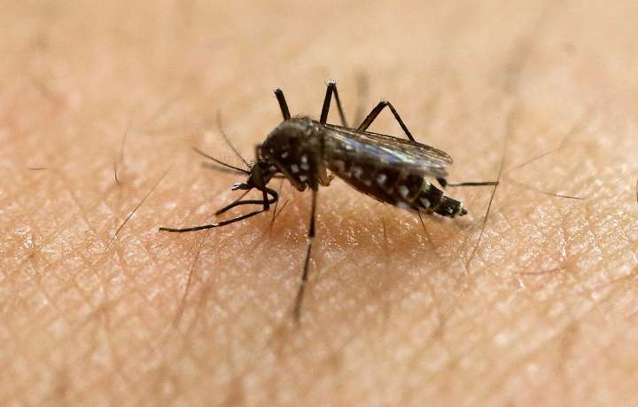 Lake County schedules mosquito spraying in several communities next week