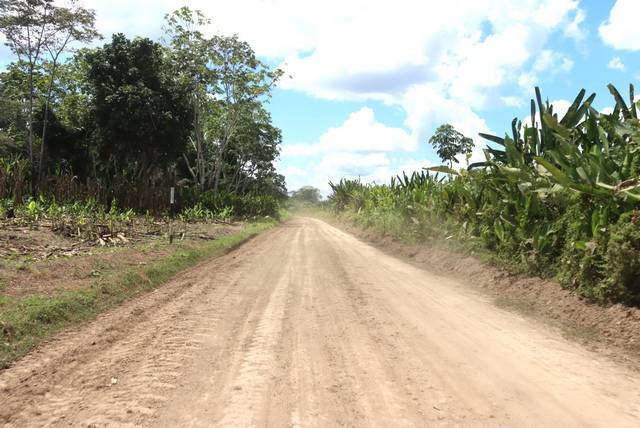 Alcalde de Contamana verifica trabajos de mantenimiento de más de 17 km de vías en zona de Tipishca