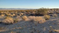 Groups sue to block ‘glamping’ resort next to Joshua Tree park