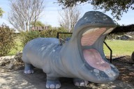 Hutto sets public hearing for no-new-revenue tax ...