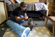 These colleges are welcoming pets in dorms