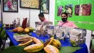 Festival Cacao para Todos 2025 en CDMX ¿Cuándo es y cuánto costará?
