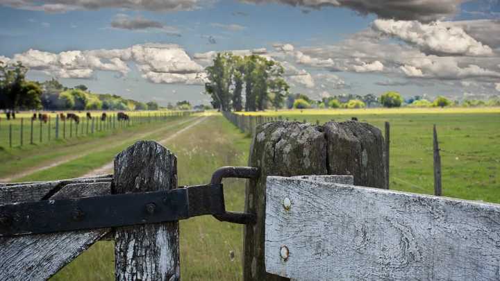 La joya oculta de Buenos Aires para disfrutar del turismo rural