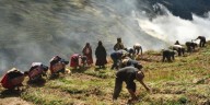 Primera Zona de Agrobiodiversidad del Perú recibe reconocimiento mundial: Cuyocuyo gana el Premio Ecuatorial 2025 del PNUD
