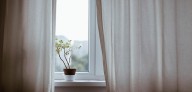 How to Create an Indoor Jungle Aesthetic