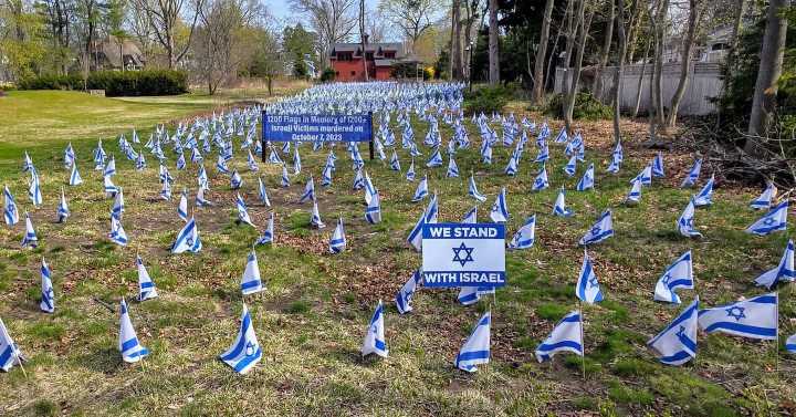 Police investigating vandalism of Israeli flag display in Concord