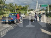 ADULTO MAYOR LESIONADO POR ATROPELLAMIENTO AUXILIADO POR LA CRUZ ROJA