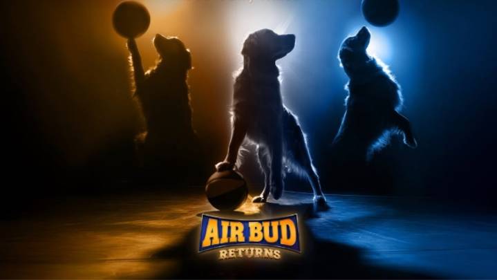 If You Own a Golden Retriever, They Could Be the Next AIR BUD