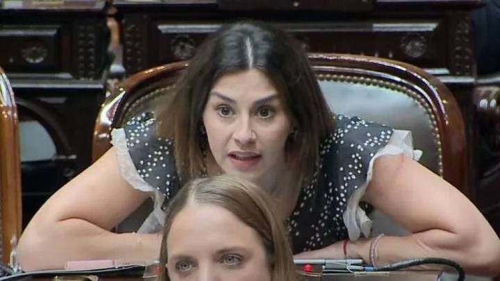 Se quebró el bloque libertario: 4 diputadxs se fueron y armaron "Coherencia"
