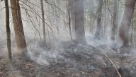 Brush fire in Keene under investigation, officials say